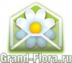 Логотип компании Доставка цветов Гранд Флора (ф-л г.Соль-илецк)